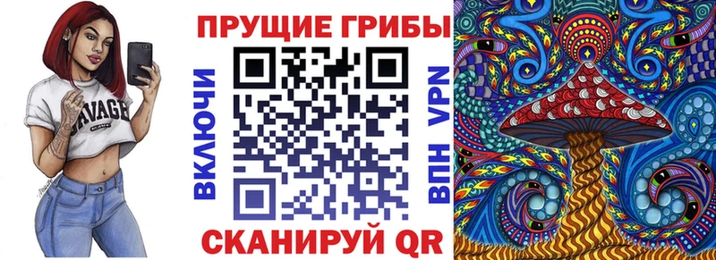 Купить  Полярный  Галлюциногенные грибы MAGIC MUSHROOMS 